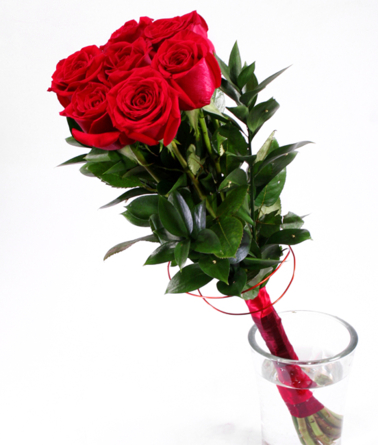 Virágposta - Varázspálca vörös rózsákkal